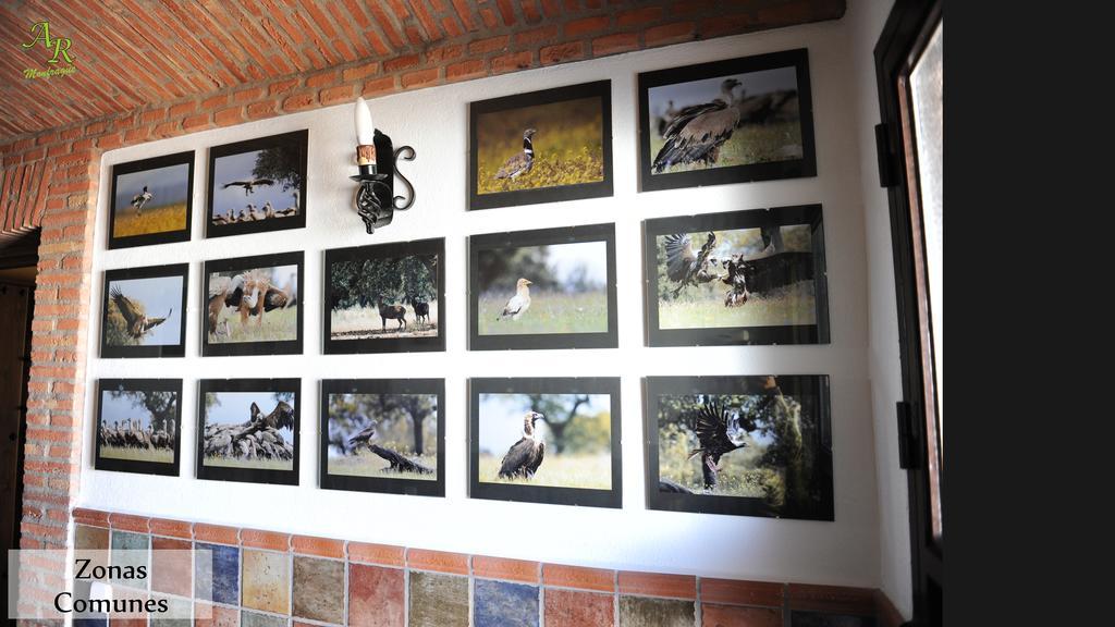 Apartamentos Rurales Monfraguee Torrejón el Rubio Eksteriør bilde